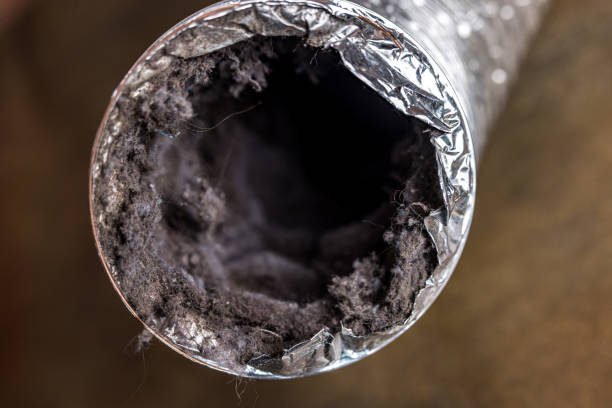 Best Affordable Duct Cleaning Services  in Spring Lake, MI