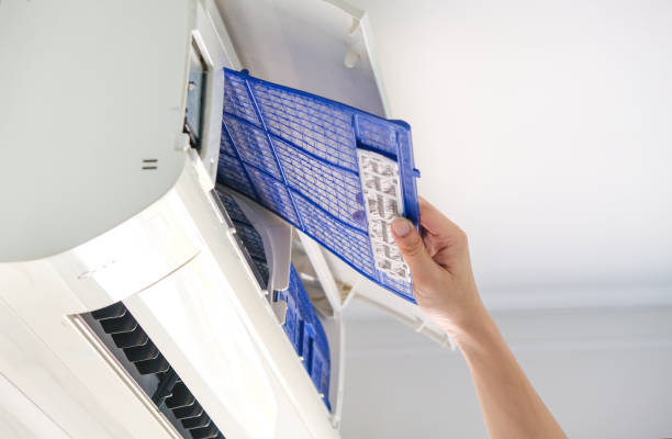 Best Affordable HVAC Duct Cleaning  in Spring Lake, MI