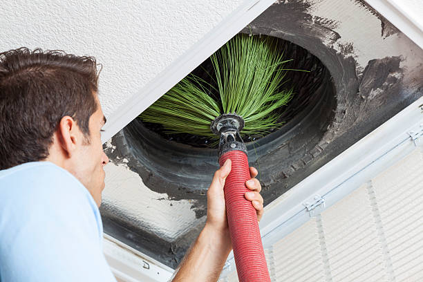 Best Local Air Duct Cleaning Services  in Spring Lake, MI